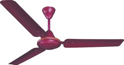 Crompton Winzer 1200 mm 3 Blade Ceiling Fan